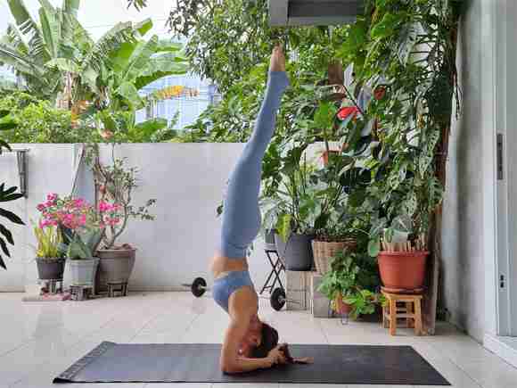 Wellness2